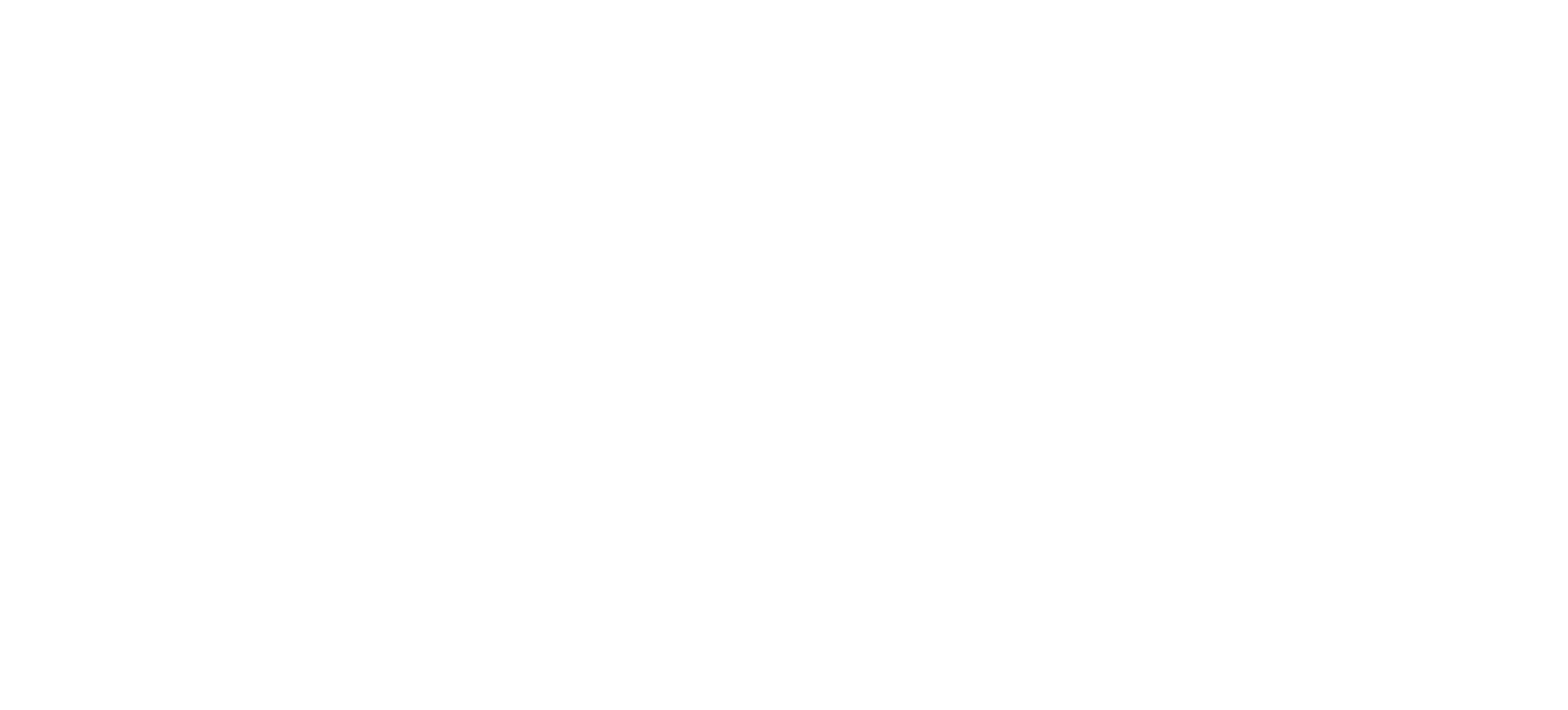 logo SkatePro